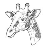 Visual representation of TallTechChannel E-commerce project